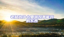 老鼠為什么要啃咬不能吃的東西