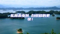 亂用殺蟲劑 白蟻移的更快!