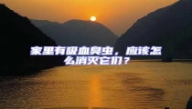 家里有吸血臭蟲,應該怎么消滅它們?