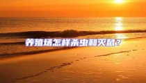 養(yǎng)殖場(chǎng)怎樣殺蟲和滅鼠?