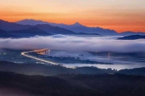 殺蟲公司讓你的花卉枝繁葉茂