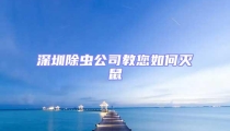 深圳除蟲公司教您如何滅鼠