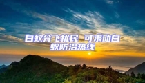 白蟻分飛擾民 可求助白蟻防治熱線
