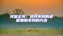 滅鼠公司:對付不同的老鼠要用不同的方法