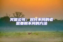 滅鼠公司：對付不同的老鼠要用不同的方法