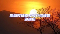 深圳滅蟑螂公司介紹蟑螂多原因
