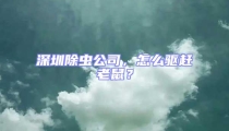 深圳除蟲公司,怎么驅趕老鼠?