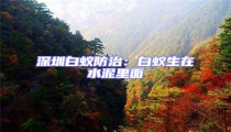 深圳白蟻防治:白蟻生在水泥里面