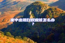 家中出現白蟻應該怎么辦？