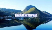 白蟻的滅治方法