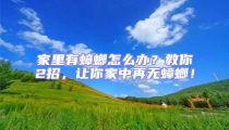 家里有蟑螂怎么辦?教你2招,讓你家中再無蟑螂!