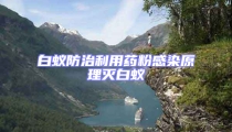 白蟻防治利用藥粉感染原理滅白蟻
