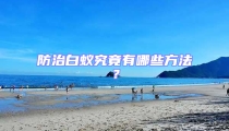 防治白蟻究竟有哪些方法?