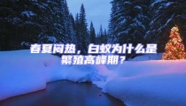 春夏悶熱,白蟻為什么是繁殖高峰期?