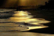 中國(guó)衛(wèi)生有害生物防制協(xié)會(huì)2017年工作計(jì)劃