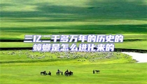 三億二千多萬年的歷史的蟑螂是怎么進化來的