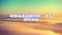 臭蟲從未遠(yuǎn)離我們,怎么消滅臭蟲