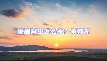 家里臭蟲怎么殺?來教你