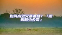 如何高效滅殺老鼠?「深圳除蟲公司」