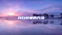 找白蟻巢的方法