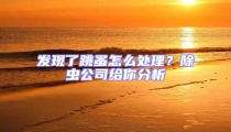 發現了跳蚤怎么處理?除蟲公司給你分析
