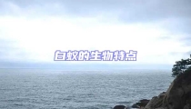 白蟻的生物特點