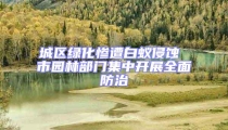 城區綠化慘遭白蟻侵蝕 市園林部門集中開展全面防治