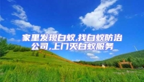 家里發(fā)現(xiàn)白蟻,找白蟻防治公司,上門滅白蟻服務(wù)