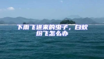 下雨飛進來的蟲子,白蟻紛飛怎么辦
