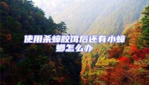 使用殺蟑膠餌后還有小蟑螂怎么辦