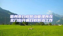 衢州市白蟻防治管理所在北門街開展白蟻防治工作