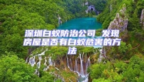 深圳白蟻防治公司 發現房屋是否有白蟻危害的方法