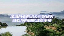 深圳白蟻防治公司深圳滅白蟻預防白蟻注意事項