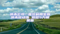 消殺公司--首次利用生物消殺蚊幼蟲 投放5萬柳條魚