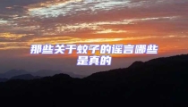 那些關于蚊子的謠言哪些是真的