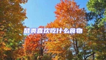 鼠類喜歡吃什么食物