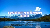 白蟻血淋巴及其在蟲體內的循環