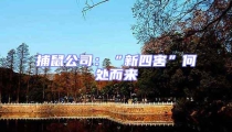 捕鼠公司:“新四害”何處而來