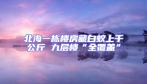 北海一棟樓房藏白蟻上千公斤 九層樓“全覆蓋”