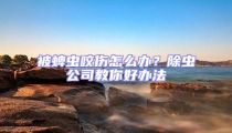 被蜱蟲咬傷怎么辦?除蟲公司教你好辦法