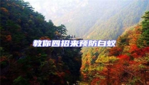 教你四招來(lái)預(yù)防白蟻