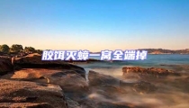 膠餌滅蟑一窩全端掉
