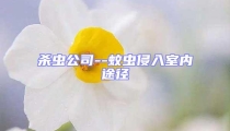 殺蟲公司--蚊蟲侵入室內途徑