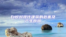 白蟻對現代建筑的危害及產生原因