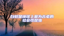 白蟻是地球上最為古老的社會性昆蟲