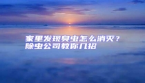 家里發(fā)現(xiàn)臭蟲怎么消滅?除蟲公司教你幾招