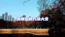 深圳滅鼠方法大全