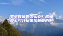 家里有蟑螂怎么辦?除蟑螂公司介紹家居蟑螂防制