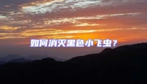 如何消滅黑色小飛蟲?