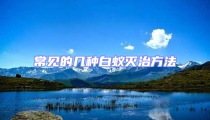 常見的幾種白蟻滅治方法
